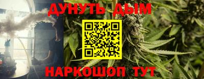прущие грибы Дубна
