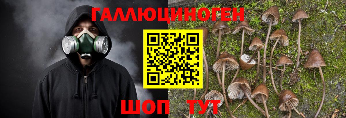 Псилоцибиновые грибы GOLDEN TEACHER Нижний Тагил